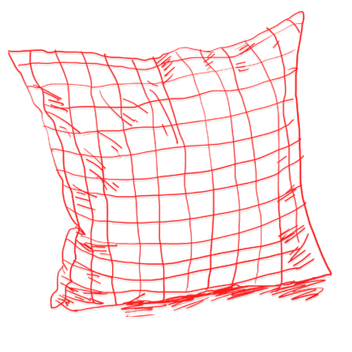 Cushion/Pillow Print